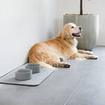 Rapid-Drying Diatomaceous Earth Pet Feeding Mat
