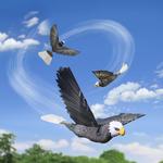RC Realistic Flying Eagle Ornithopter