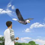 RC Realistic Flying Eagle Ornithopter