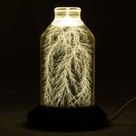 Real Captured Lightning in a Bottle