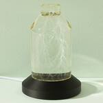 Real Captured Lightning in a Bottle