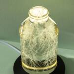 Real Captured Lightning in a Bottle