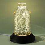 Real Captured Lightning in a Bottle