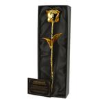 Real Rose Dipped in 24K Gold