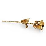 Real Rose Dipped in 24K Gold