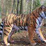 Realistic Life-Sized Bengal Tiger Replica