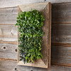 Reclaimed Barn Door Vertical Wall Planter