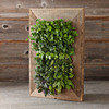 Reclaimed Barn Door Vertical Wall Planter