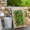 Reclaimed Barn Door Vertical Wall Planter