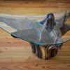 Reclaimed Oak Root Coffee Table