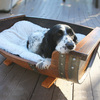 Reclaimed Wine Barrel Dog Bed