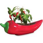 Red Hot Chili Planter
