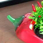 Red Hot Chili Planter