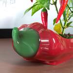 Red Hot Chili Planter