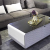 Refrigerator Coffee Table