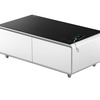 Refrigerator Coffee Table