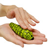 Remote Control Caterpillars