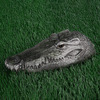 Remote Control Crocodile Head