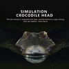 Remote Control Crocodile Head