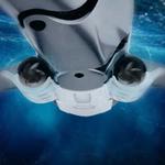 Remote Control Shark