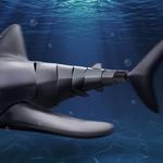 Remote Control Shark