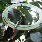 Retreev - Miniature Magnetic Grappling Hook Retrieval Tool
