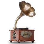 Retro Modern Gramophone Turntable With Copper Horn