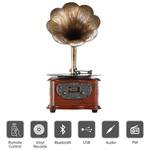 Retro Modern Gramophone Turntable With Copper Horn