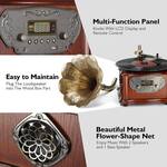 Retro Modern Gramophone Turntable With Copper Horn