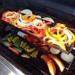 Rib-O-Lator - Multiple Tray Barbecue Rotisserie