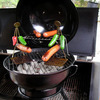 Roast My Weenie - Stainless Steel Hot Dog Cooker