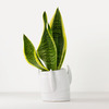 Rocket Ship Planter