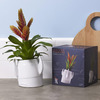Rocket Ship Planter