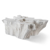 Root Coffee Table