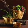 Root of the Earth Bowls