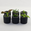 rootcup - Grow New Plants From Plant Cuttings