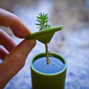 rootcup - Grow New Plants From Plant Cuttings