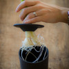 rootcup - Grow New Plants From Plant Cuttings