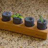 rootcup - Grow New Plants From Plant Cuttings