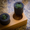 rootcup - Grow New Plants From Plant Cuttings