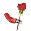 Rose Thorn Stripper