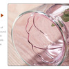Rose Wine Glasses