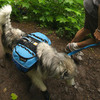 Ruff Wear Approach Pack - Saddlebag For Dogs!