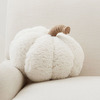 Rustic Pumpkin Pillows w/ Teddy Bear Fur Fabric