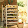 Rustic Wooden Orchard Rack