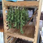Rustic Wooden Orchard Rack - Keeper Crop Storage / Herb Drying Rack