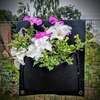 Saddlebag Hanging Planter