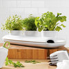 Sagaform Stoneware Triple Herb Pot