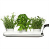 Sagaform Stoneware Triple Herb Pot
