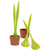 Salad Plant - Potted Salad Servers